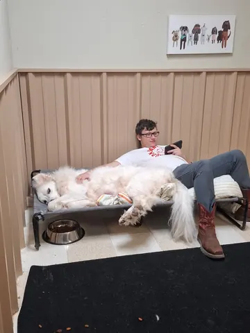 Staff member lounging on a raised bed with a white dog in a suite