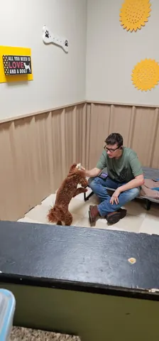 Staff member sitting with a dog in a bright play room