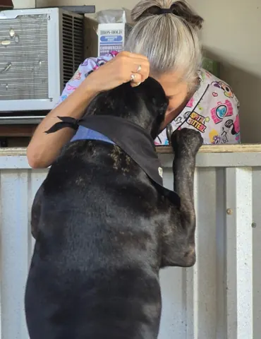 Staff member hugging a big black dog over a gate