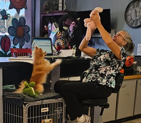 Staff member celebrating with a small dog on the front desk